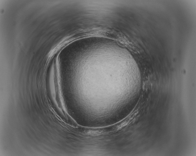 X0000085060341200703191330