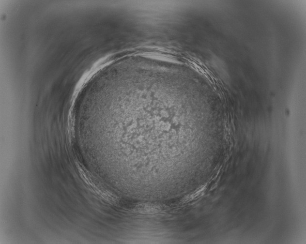 X0000085060343200703191330