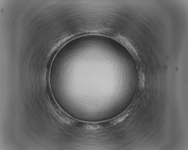 X0000085060346200703191331