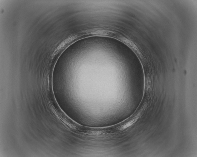 X0000085060349200703191331