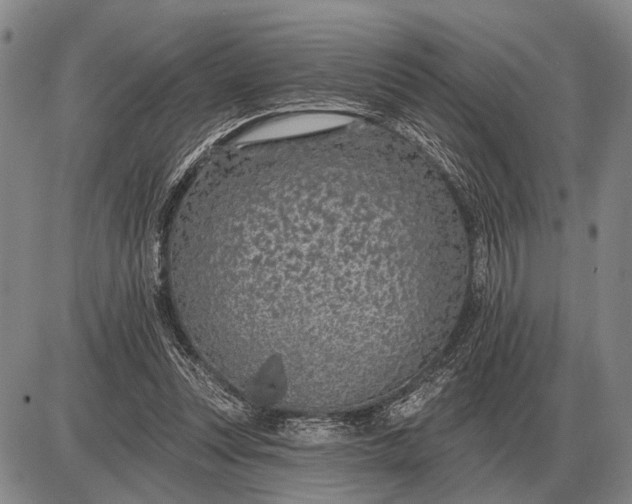 X0000085060351200703191331