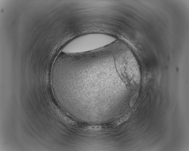 X0000085060353200703191331