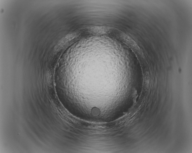 X0000085060359200703191331