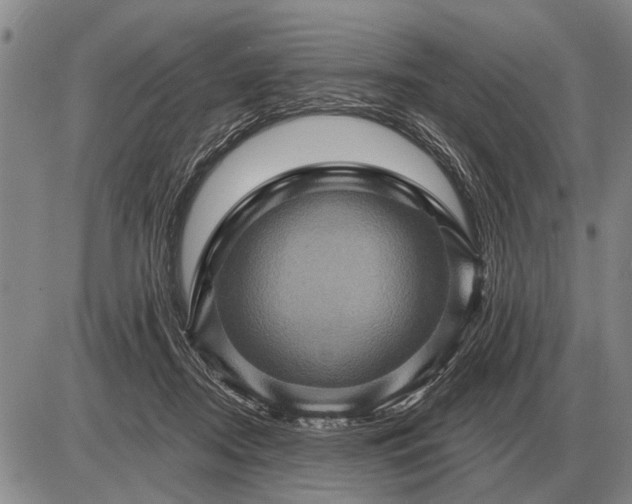 X0000085060362200703191331