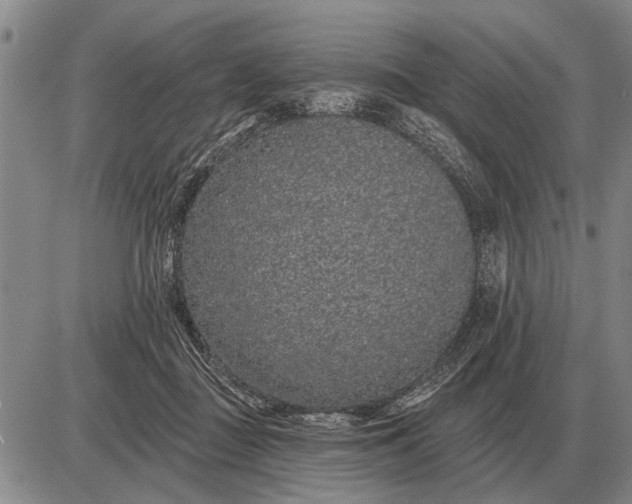 X0000085060363200703191331