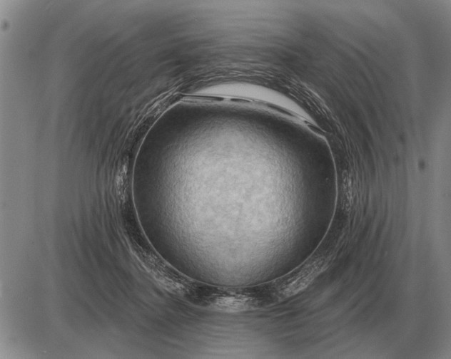 X0000085060364200703191331