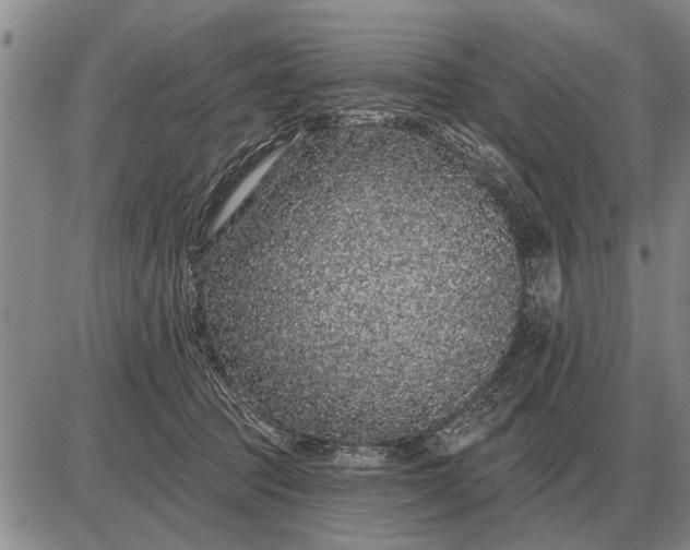 X0000085060369200703191331