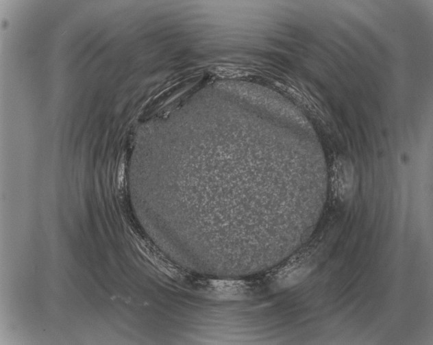 X0000085060371200703191331