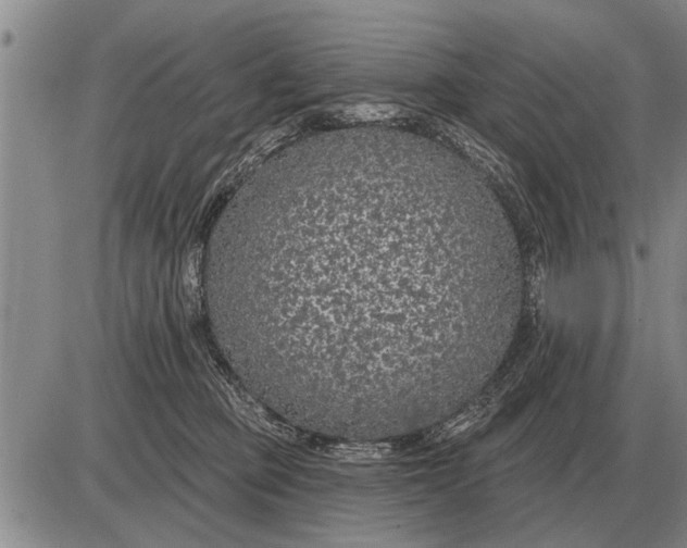 X0000085060373200703191331