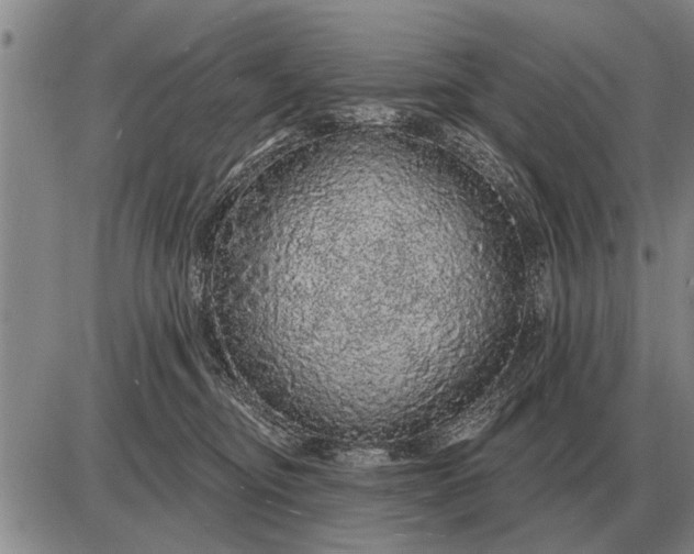 X0000085060374200703191331