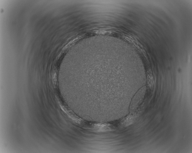 X0000085060375200703191331