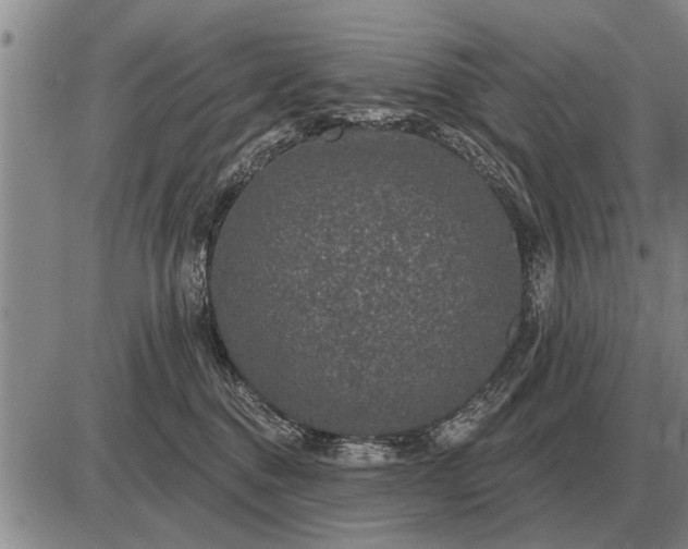 X0000085060376200703191331