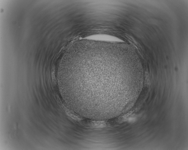 X0000085060377200703191331