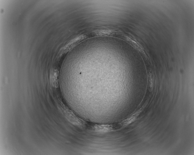 X0000085060378200703191331