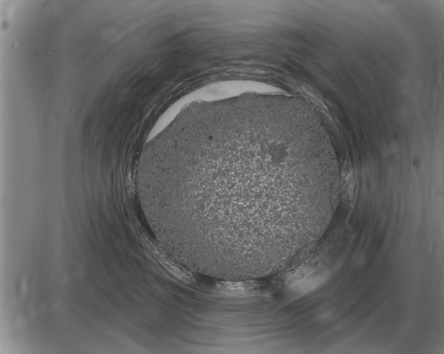 X0000085060381200703191331