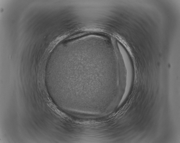 X0000085060385200703191330