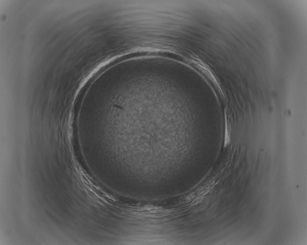 X0000085060387200703191330