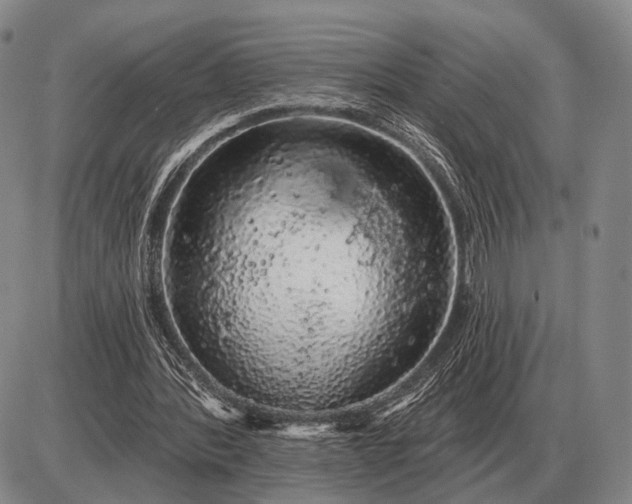 X0000085060388200703191330