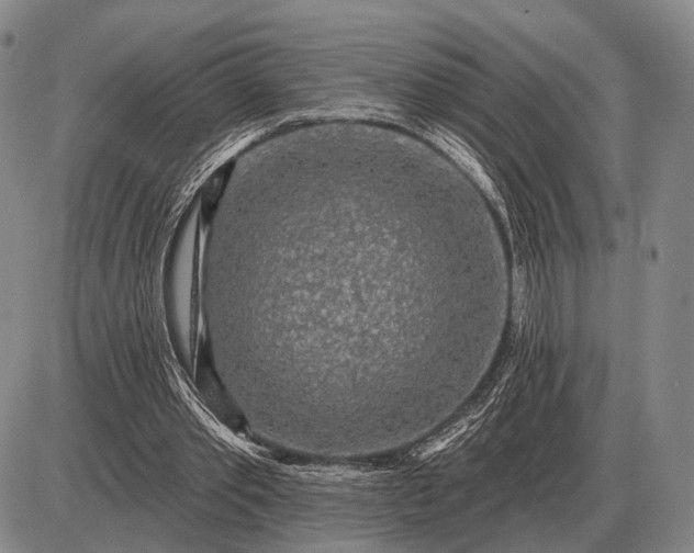 X0000085060389200703191330