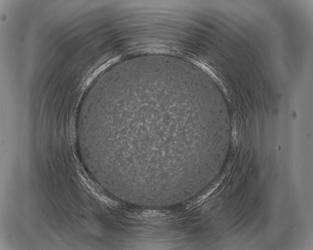 X0000085060390200703191330