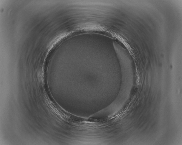 X0000085060391200703191330