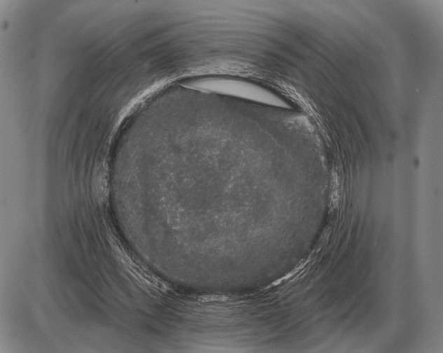 X0000085060392200703191330