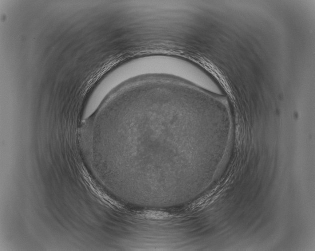 X0000085060393200703191330