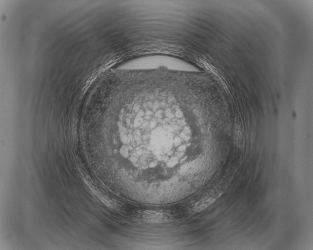 X0000085060394200703191330