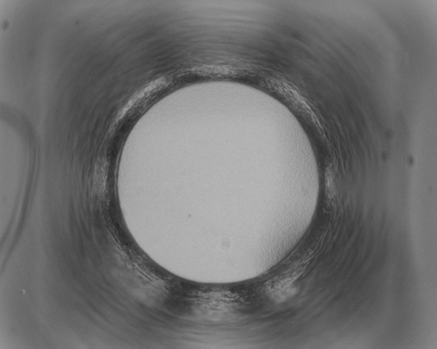 X0000085060396200703191330