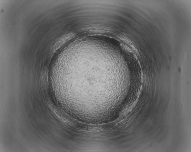 X0000085060398200703191330