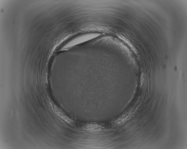 X0000085060399200703191330