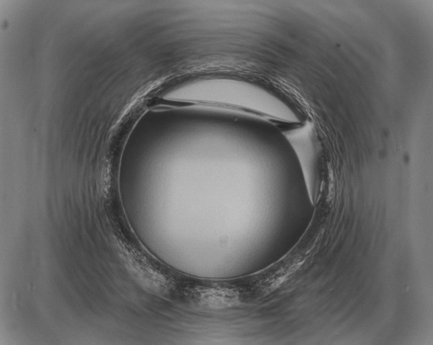 X0000085060400200703191330