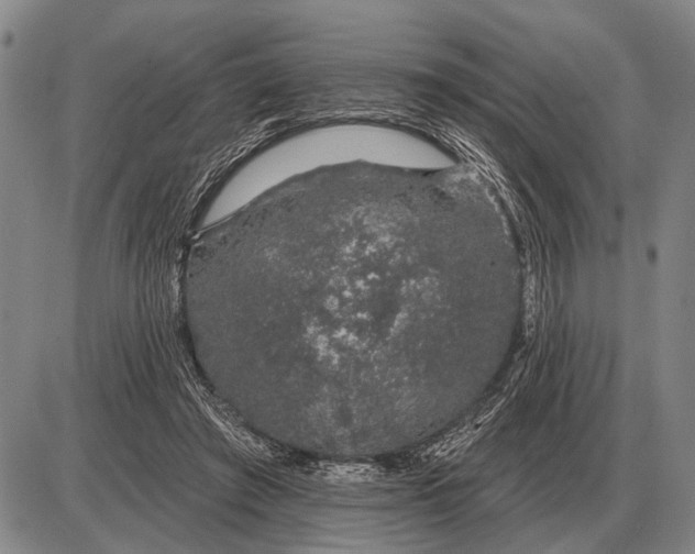 X0000085060401200703191330