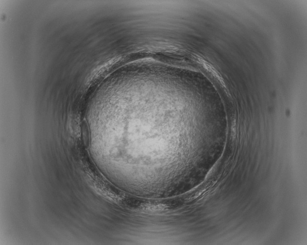 X0000085060403200703191330