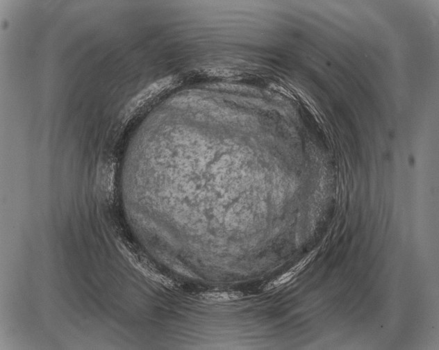 X0000085060404200703191330