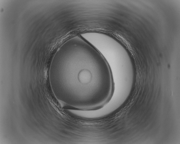 X0000085060405200703191330