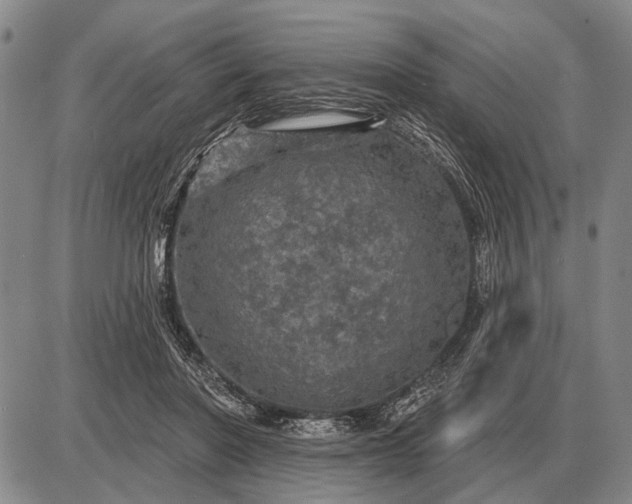 X0000085060406200703191330