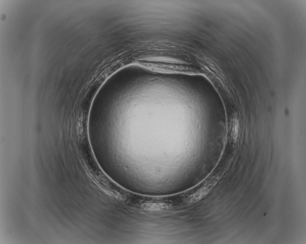 X0000085060408200703191330