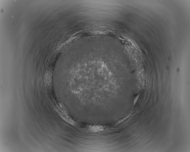 X0000085060409200703191330