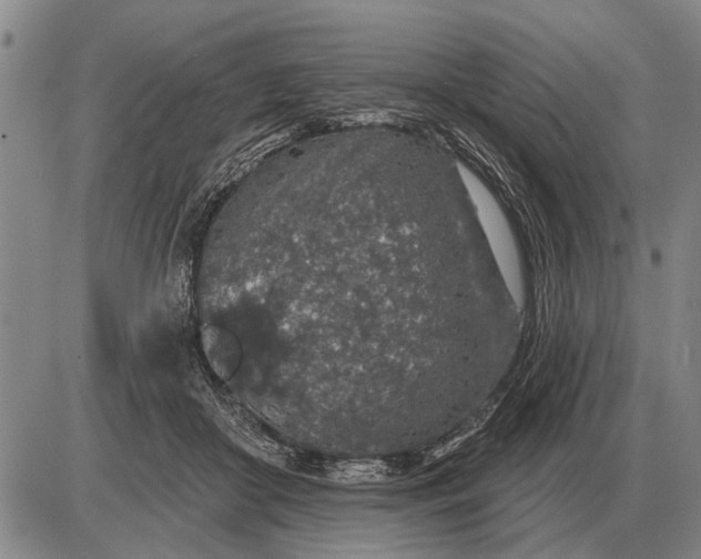 X0000085060410200703191330