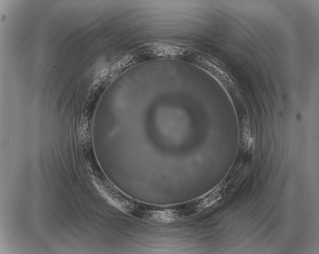 X0000085060411200703191330