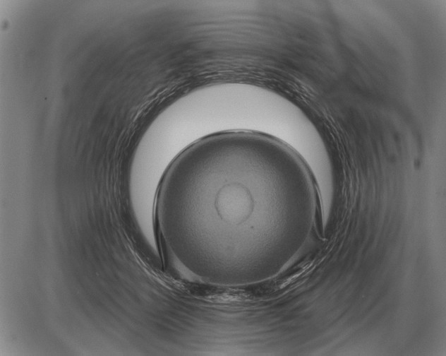 X0000085060412200703191330