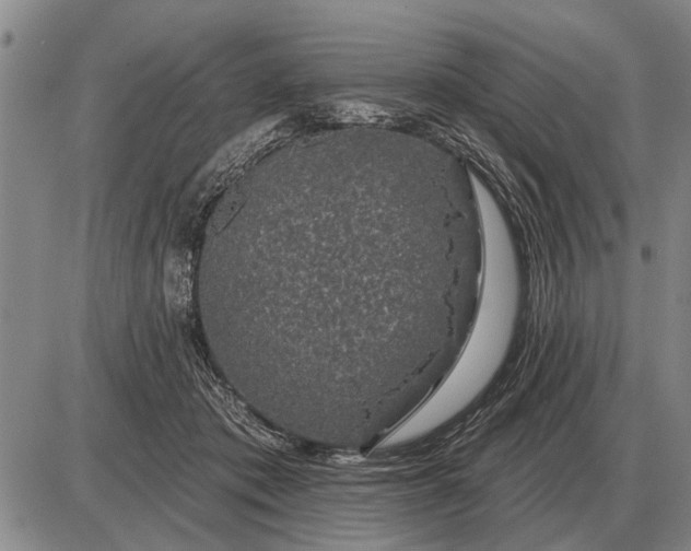 X0000085060413200703191330