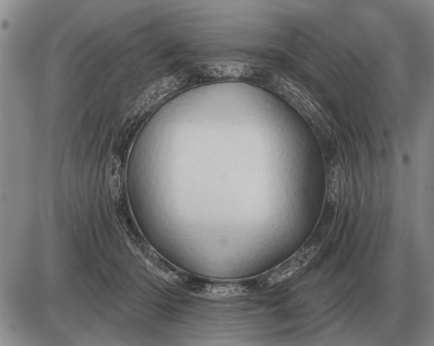 X0000085060414200703191330