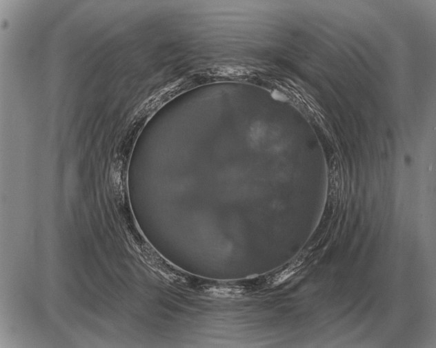 X0000085060415200703191330