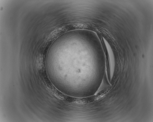 X0000085060416200703191330