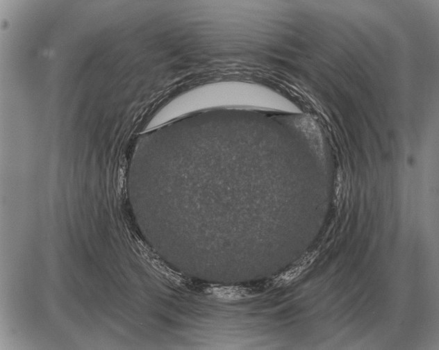 X0000085060417200703191330