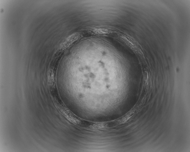 X0000085060418200703191330