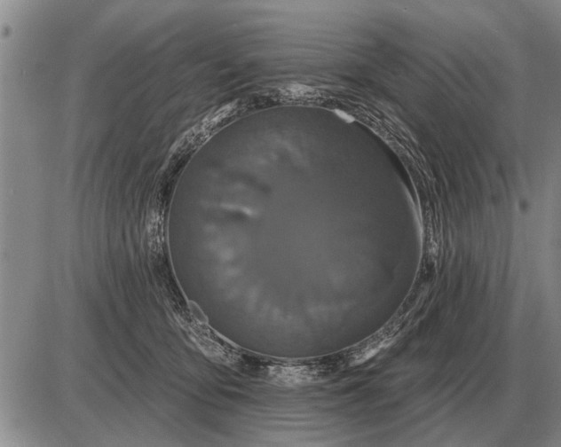 X0000085060419200703191330