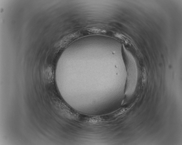 X0000085060420200703191330